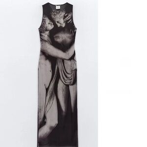 Zara The Three Graces Tulle Printed Dress